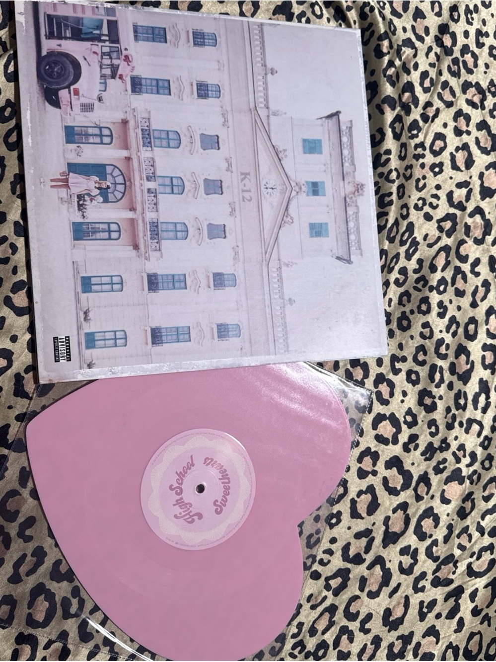 K-12 Pink Heart Vinyl Record - Limited Edition